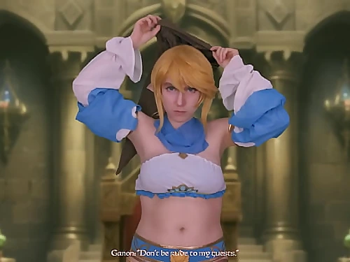 Veteran of Zelda: Link's Continued Harassment