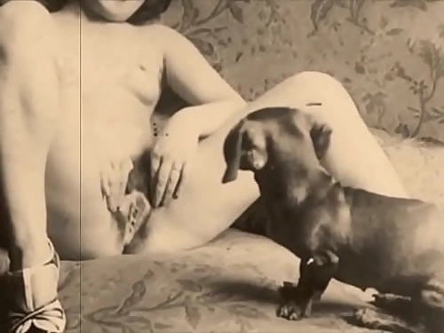 My Secret Life, Top Twenty 'Pussy and Pooch'