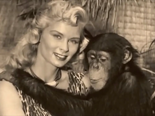 Antique Taboo, Pussy & Pooch