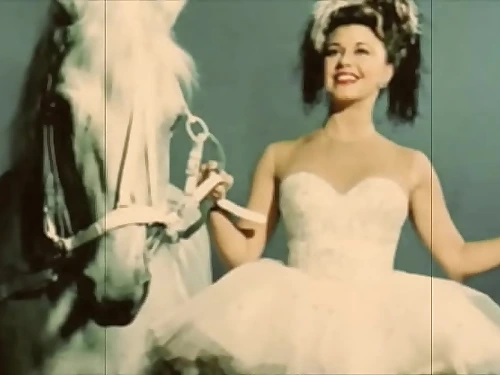 vintage softcore animation